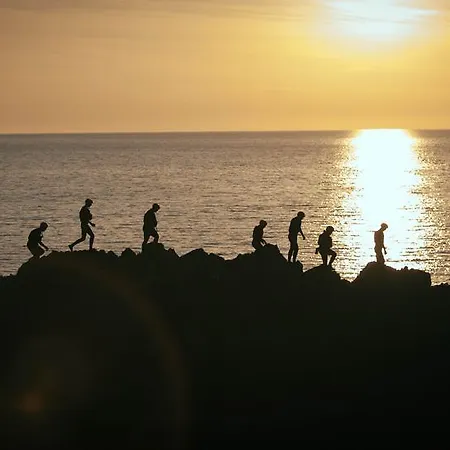 بيت شباب Wild Atlantic