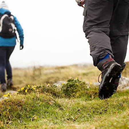 Wild Atlantic بيت شباب *