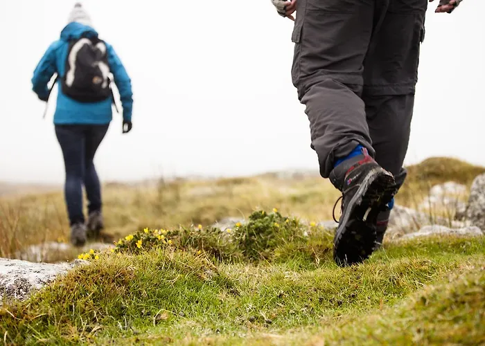 Wild Atlantic Ostello *