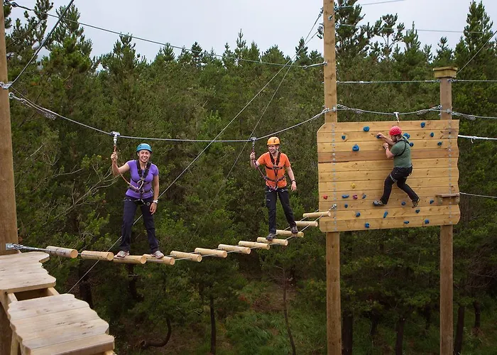 호스텔 Wild Atlantic 리나운